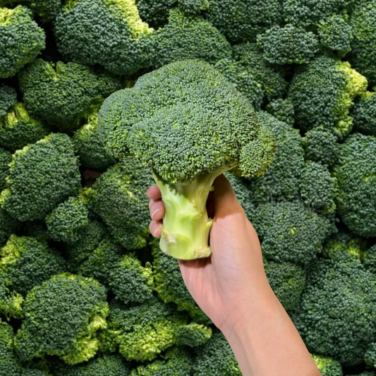 Broccoli