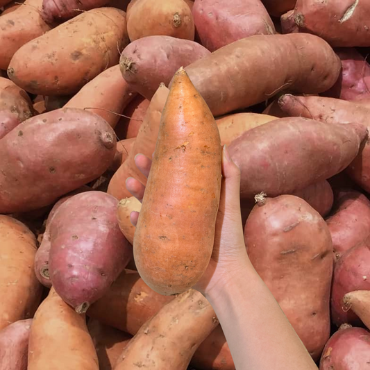 Potato