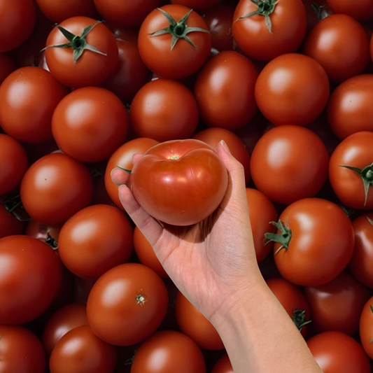 Tomato