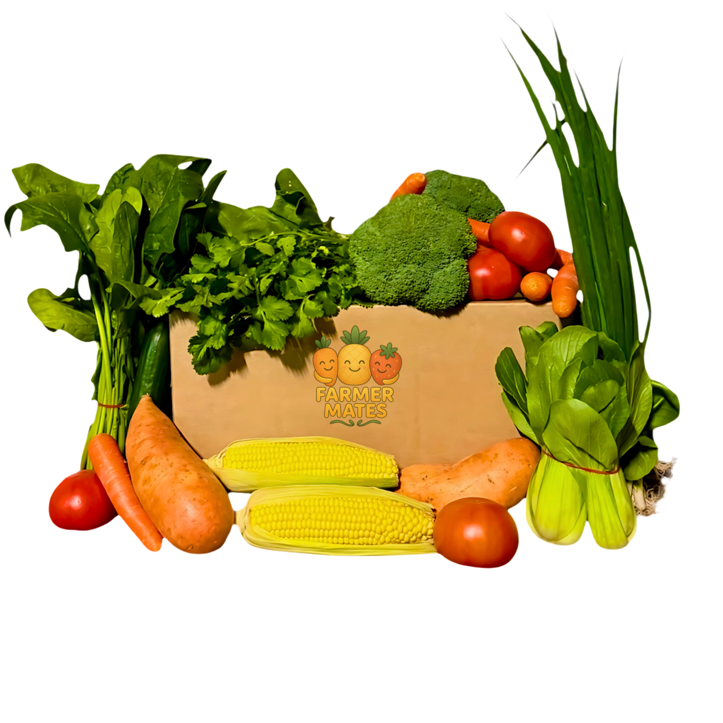 Veggie Only Box