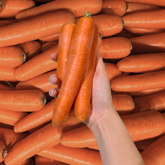 Carrot