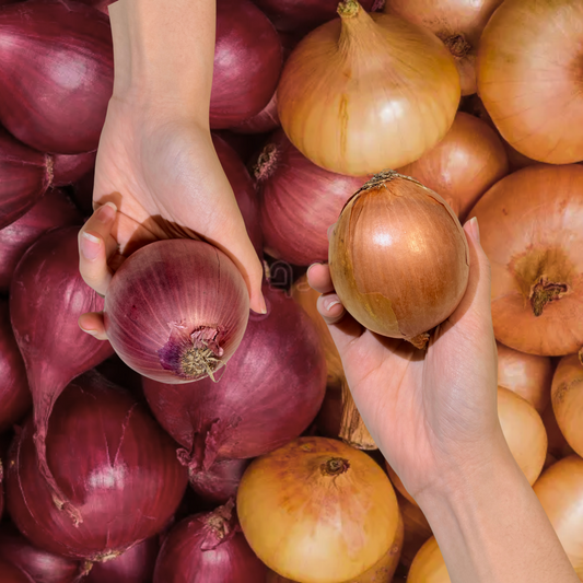 Onion