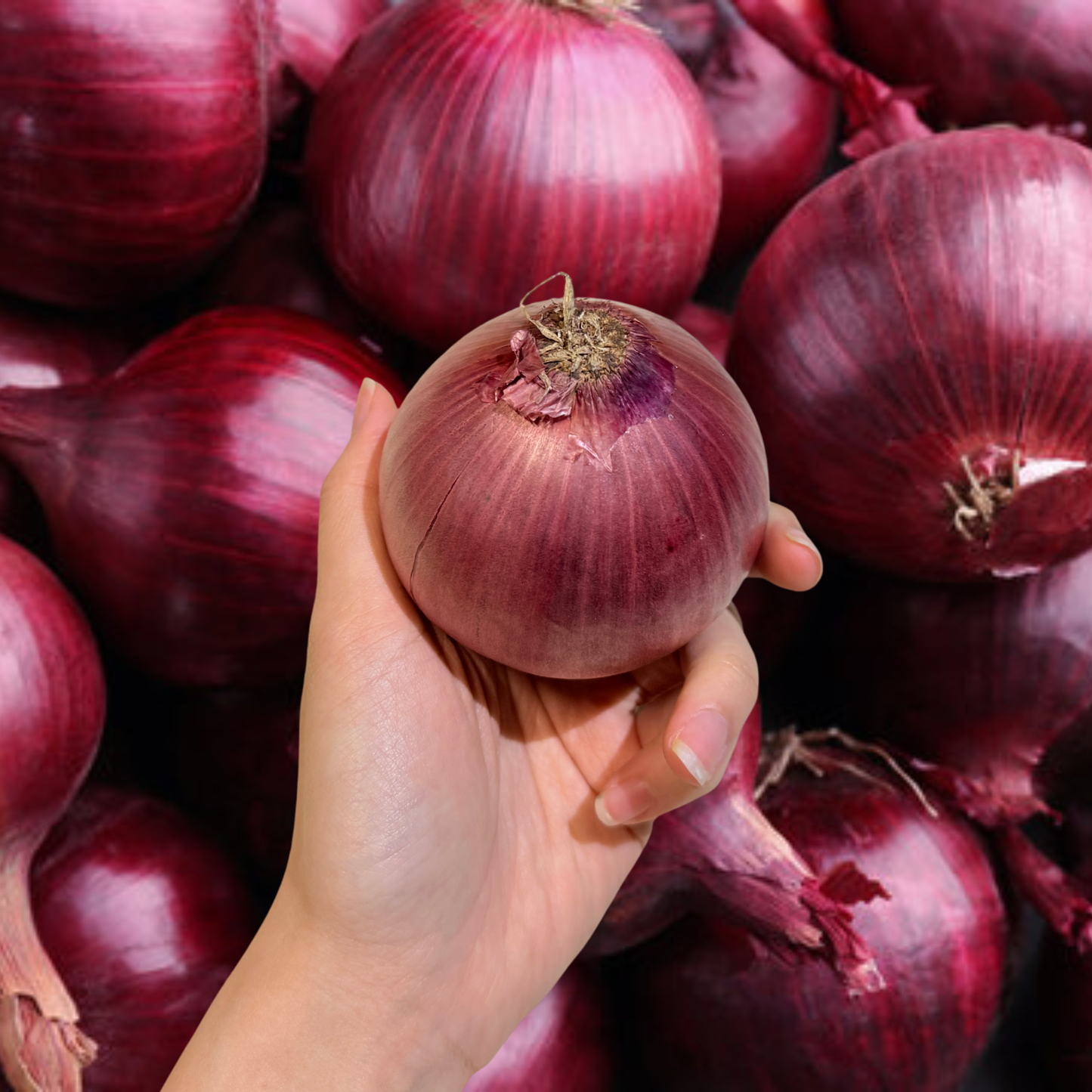 Red Onion