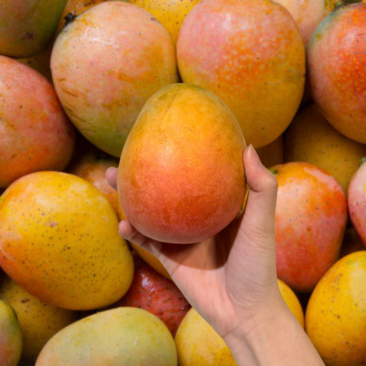 Mango