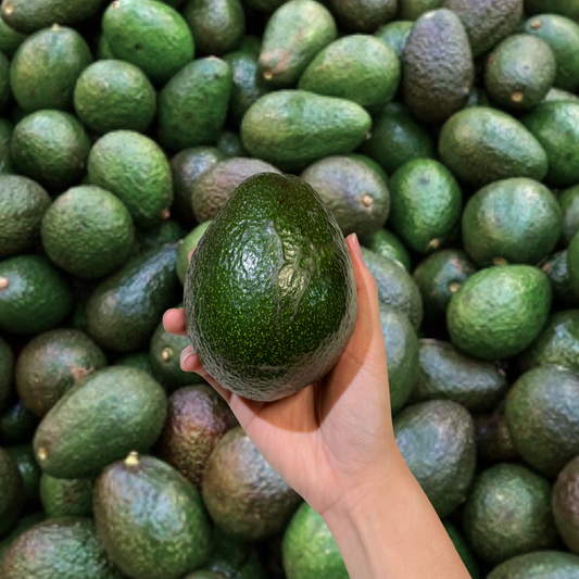 Avocado