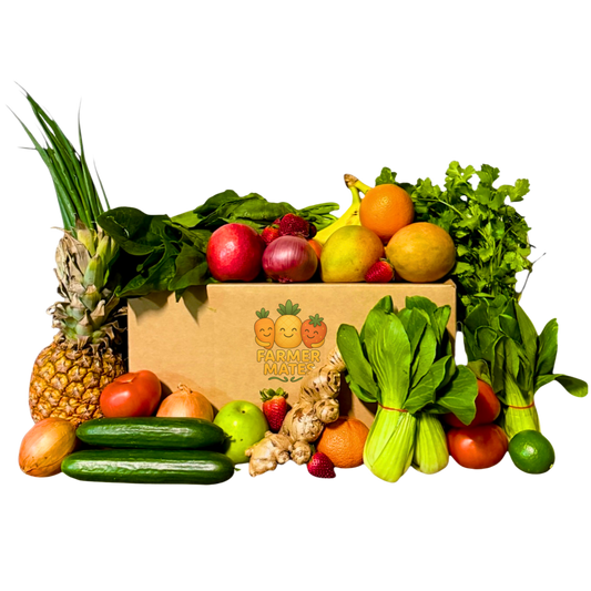 Medium Box
