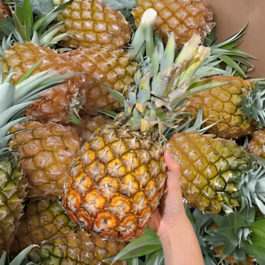 Pineapple