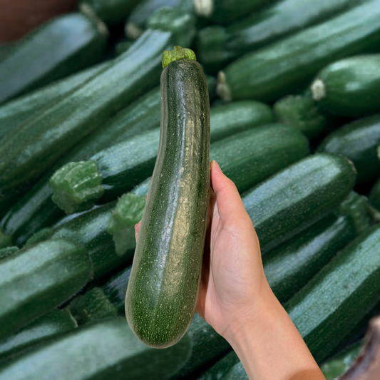 Zucchini