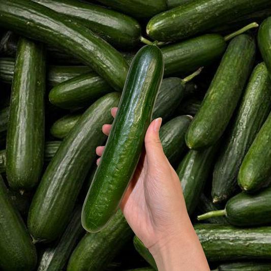 Cucumber