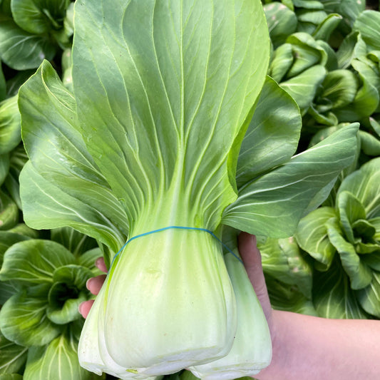 Bokchoy