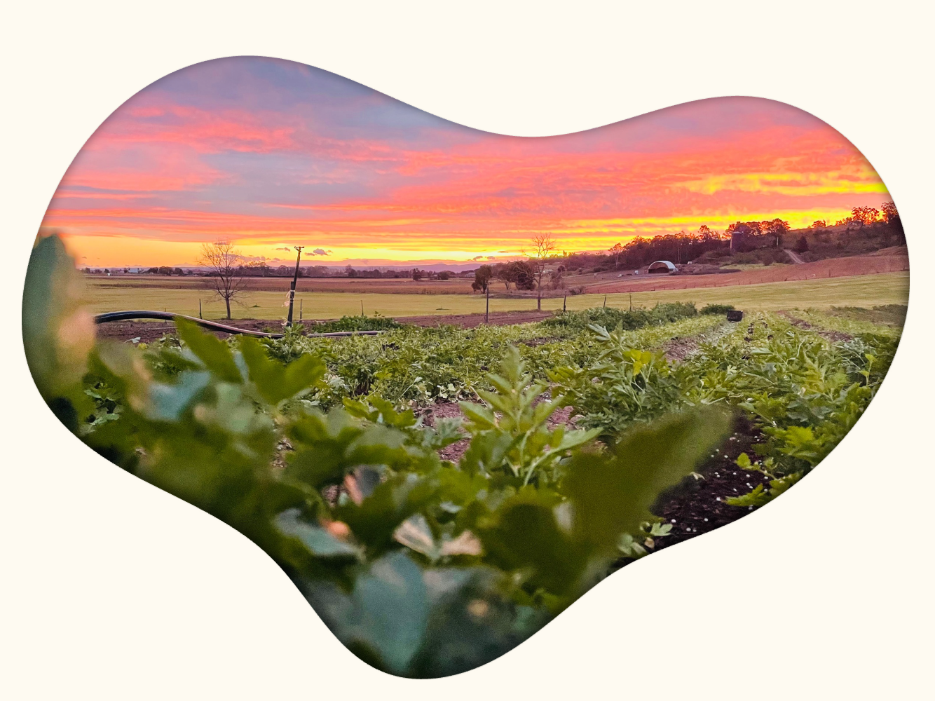 Farm photo