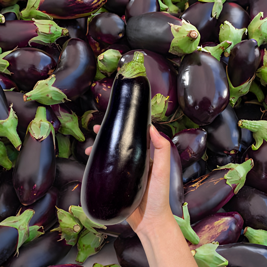 Eggplant