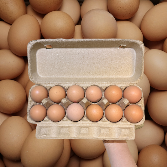 Free Range Eggs