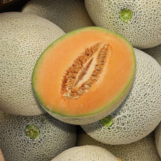 Rockmelon